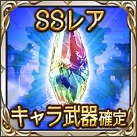 SSレアキャラ武器確定ガチャチケット